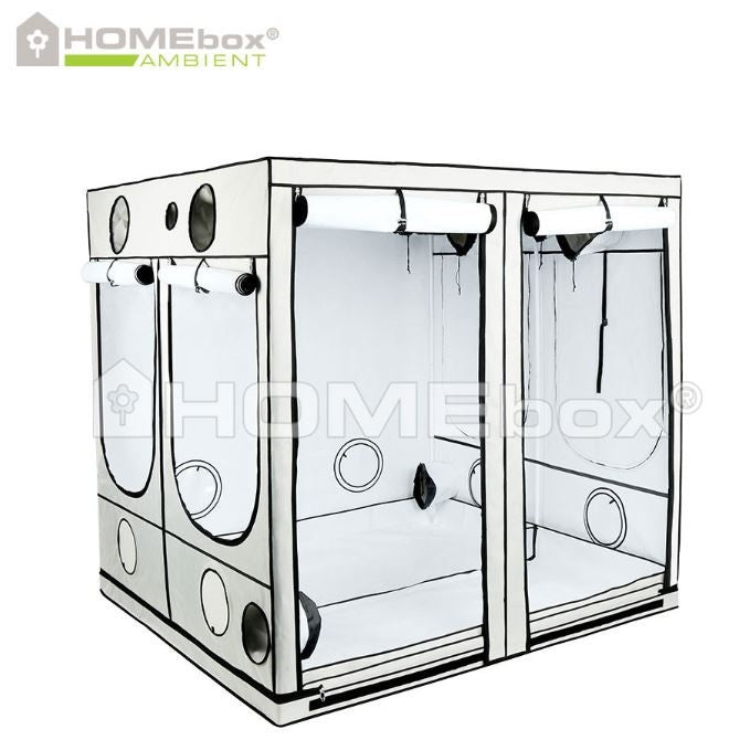 Homebox Ambient Q300+