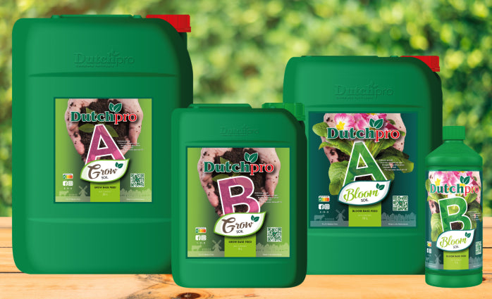 DUTCHPRO ERDE BLOOM A&B