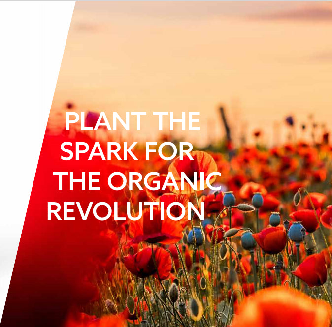 Spark 1 Liter im Growshop ULLa Köln