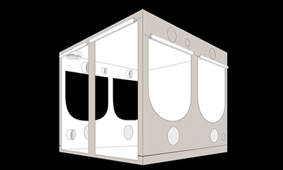 Homebox Ambient Q240
