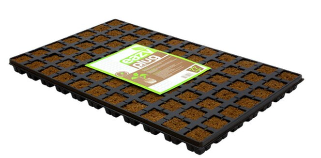 Easy Plugs 77 Stück