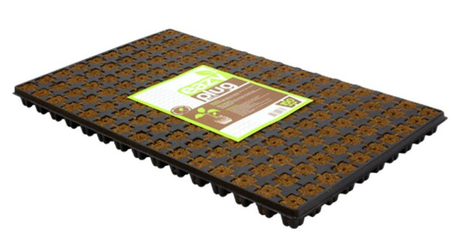 Easy Plugs 150 Stück