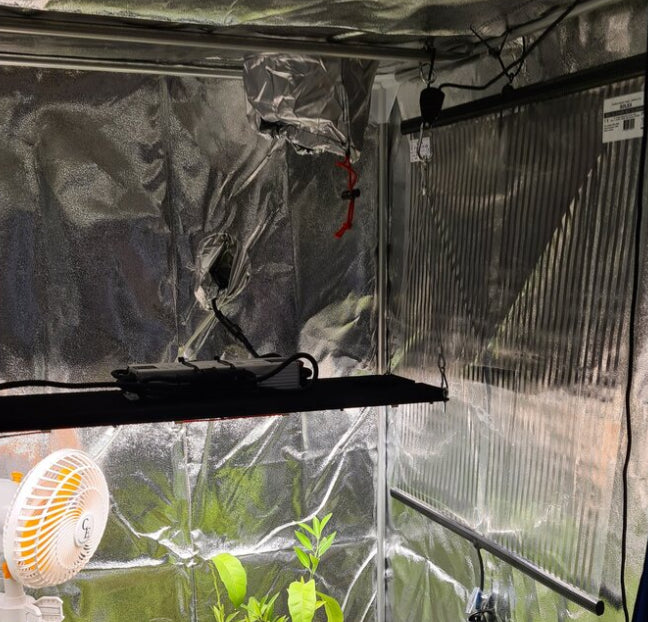 SOLEA Infrarotheizung 500 Watt für 85 EUR beim Growshop ULLa Köln