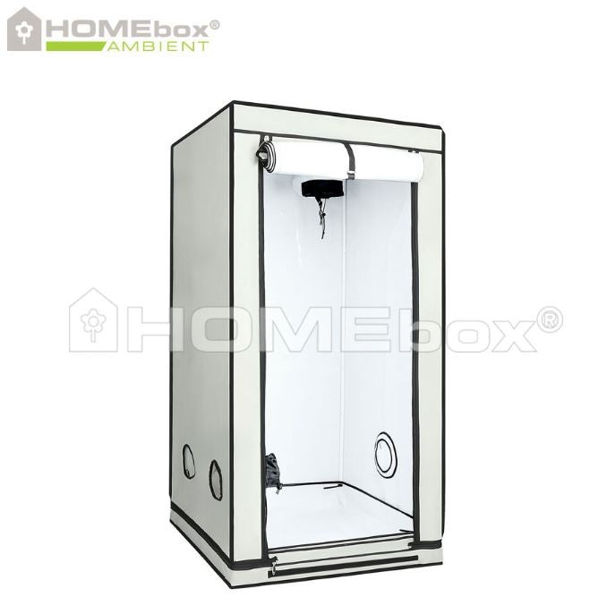 Homebox Ambient Q80+