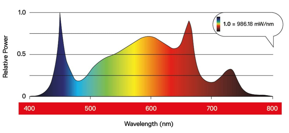 Daylight LED 200 Watt PRO mit Vollspektrum für 325,00 bei ULLa Köln
