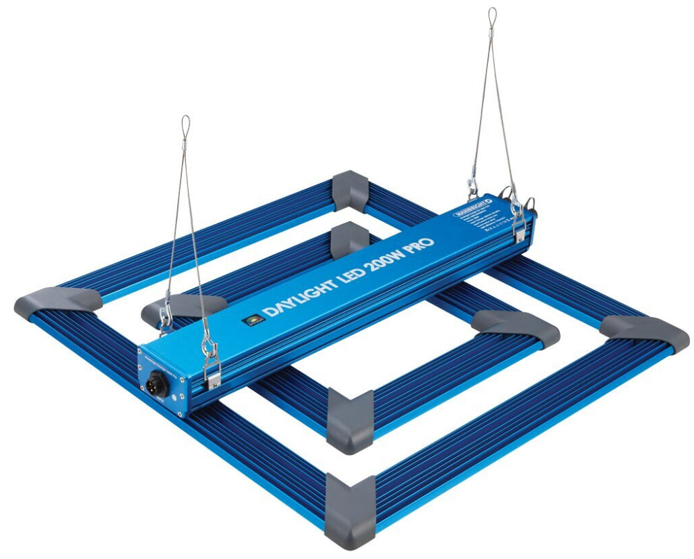 Daylight LED 200 Watt PRO mit Vollspektrum für 325,00 bei ULLa Köln