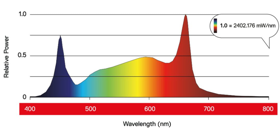 MAXIBRIGHT Daylight LED 480 Watt PRO 2,7 µmol/J 1296 µmol/s