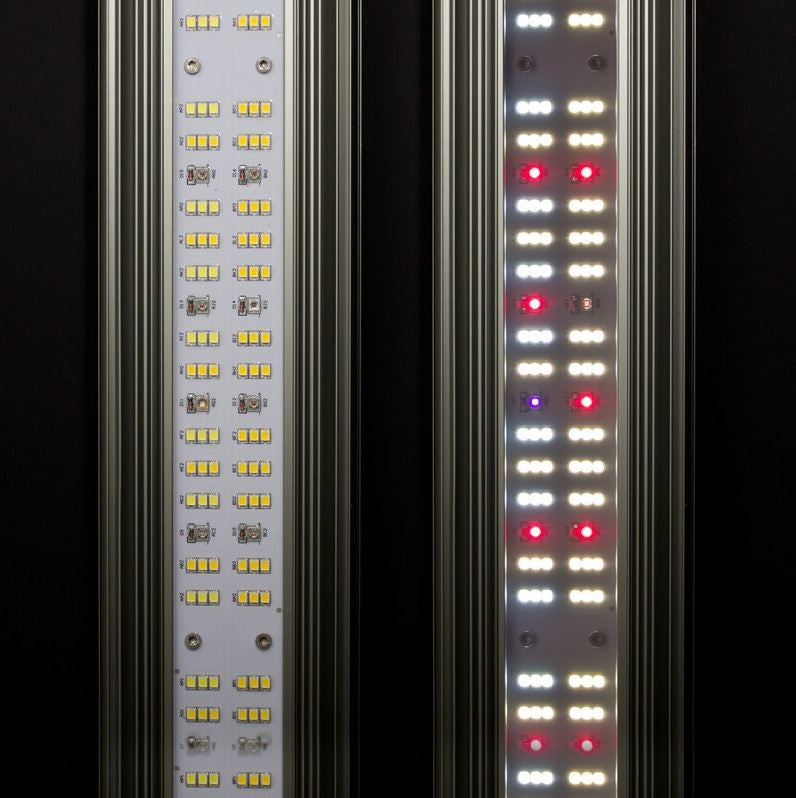 GREENCEPTION GCx 2solo 60 Watt