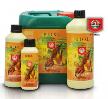 House & Garden Bud XL