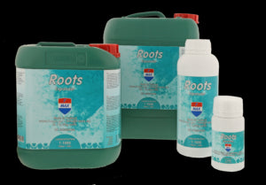 Roots Expander