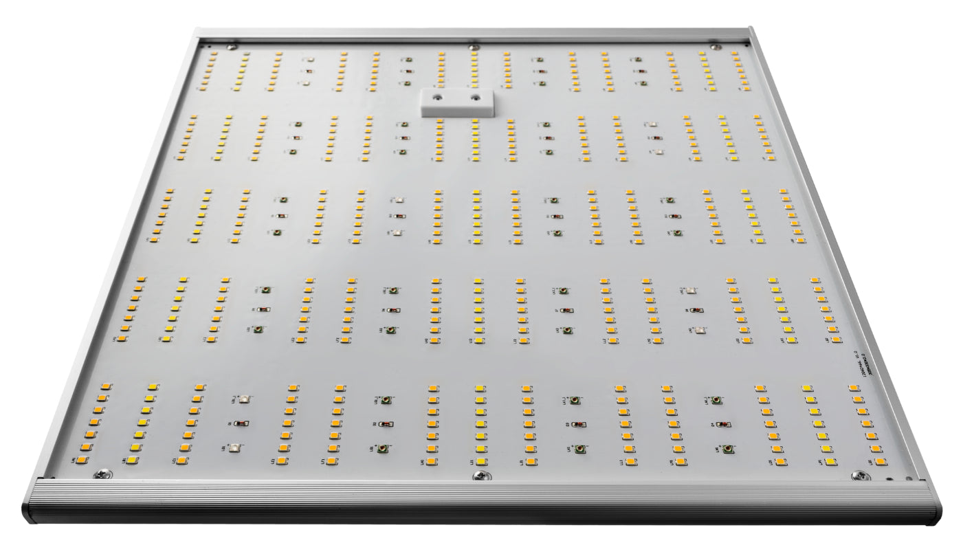 CALUMA LED Force 150 Watt