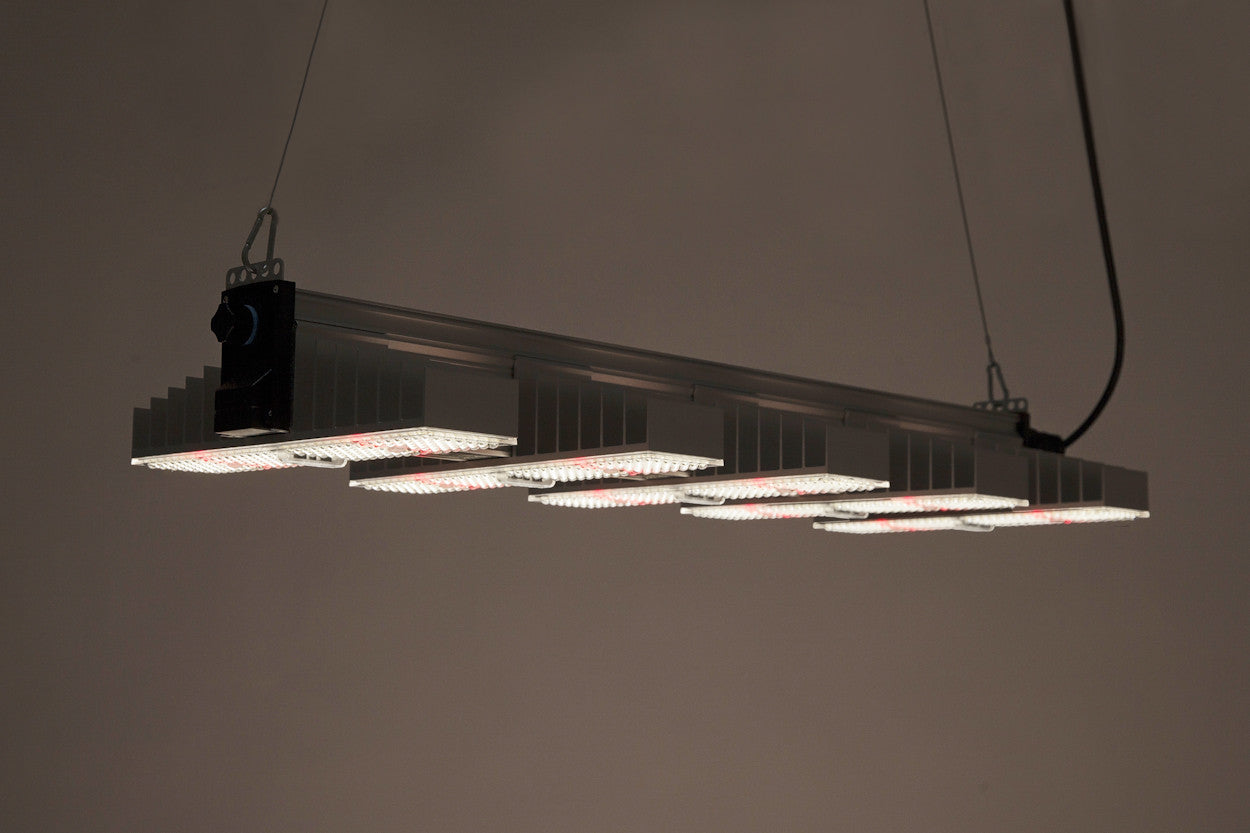 SANlight EVO 1.5 4-120 265 Watt