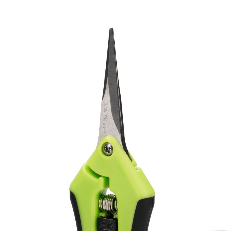 Ernteschere CALUMA (STRAIGHT)