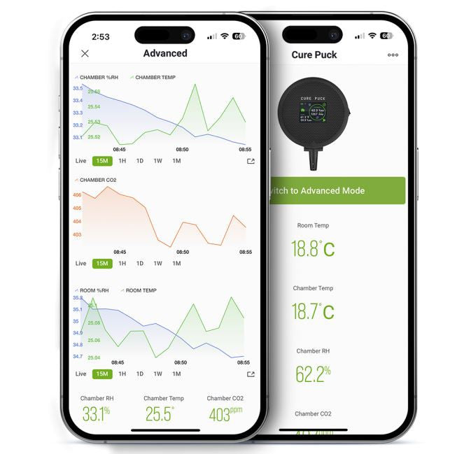 Twister Cure Puck bei ULLa Köln