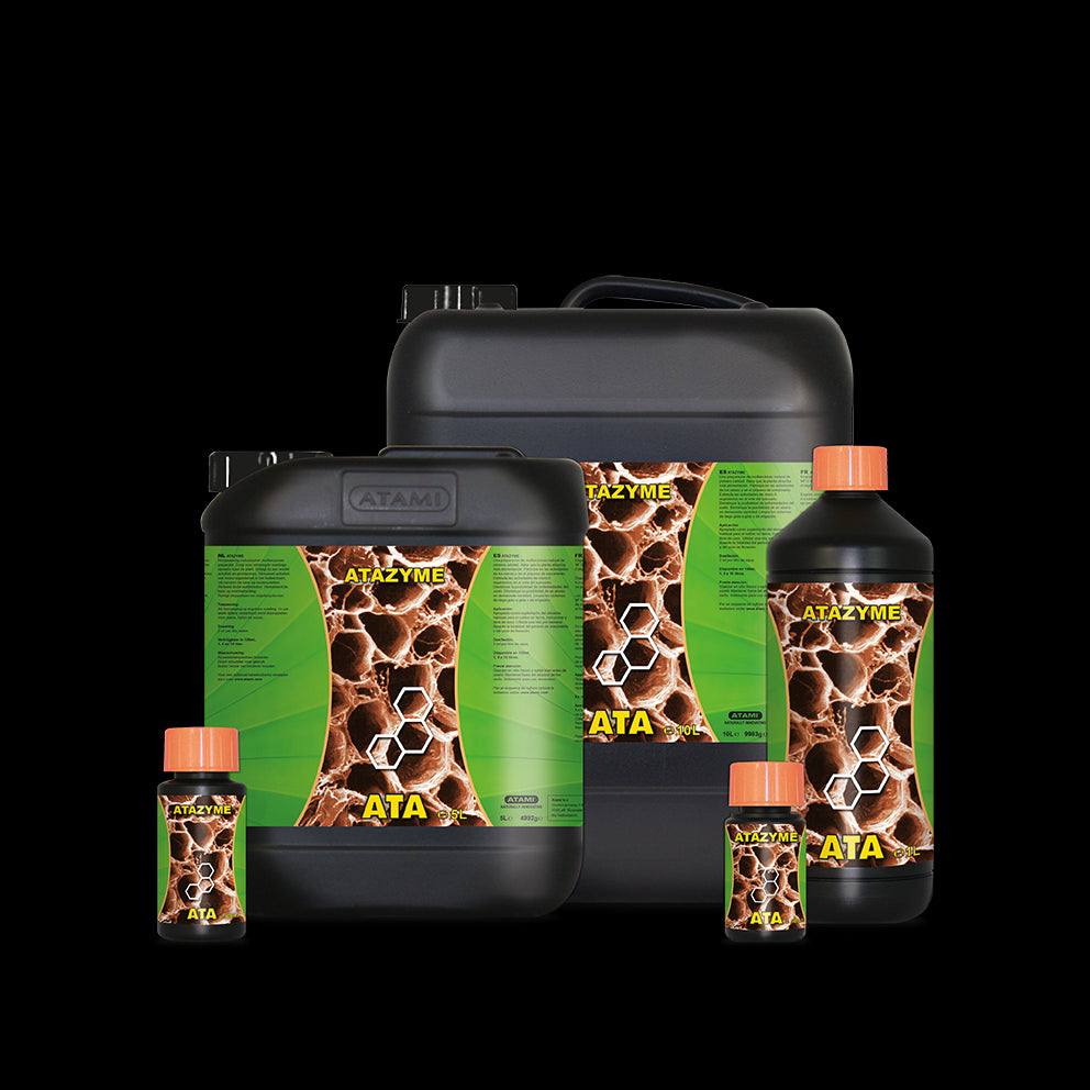 ATAMI Atazyme