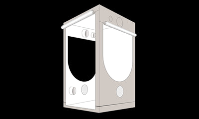 Homebox Ambient Q120