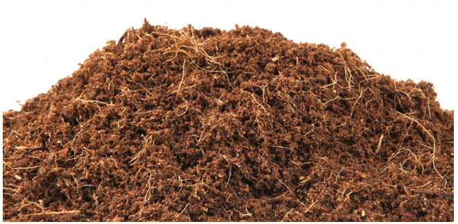 CANNA Coco Professional Plus 50 Liter