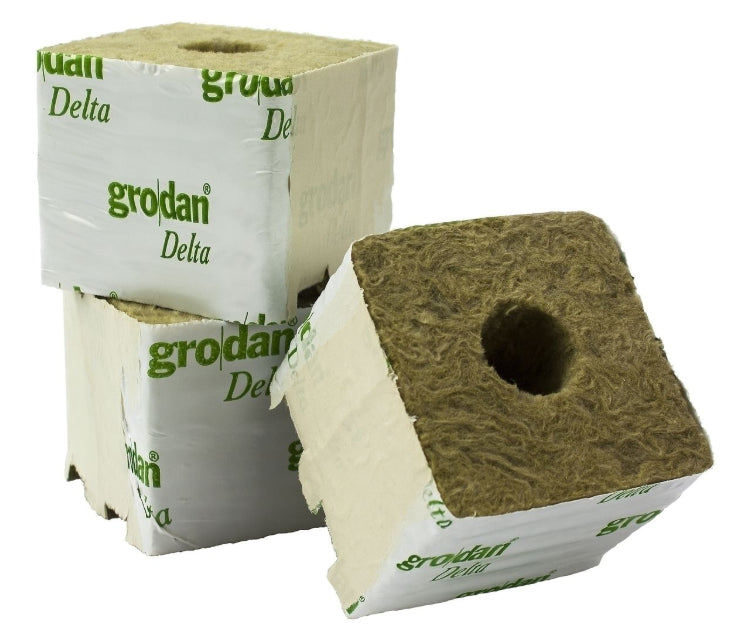 GRODAN Anzuchtwürfel SBS