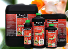 Green Buzz Organic Bloom Liquid