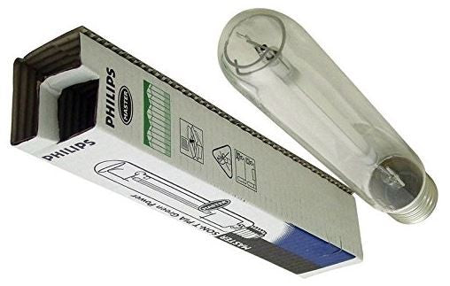 Philips GREEN POWER (Blüte)