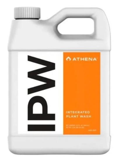 ATHENA IPW