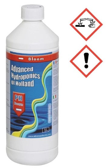 AHOH ph-Minus Blüte 58%