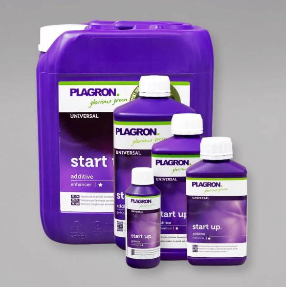 PLAGRON Start Up