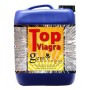 GENI Top Viagra