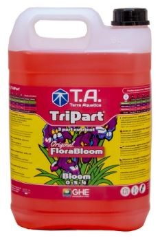 TA TRIPART BLOOM