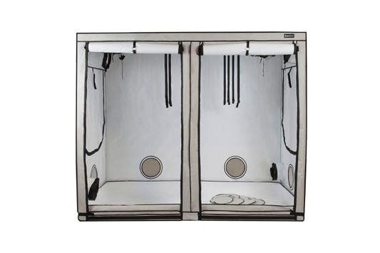 Homebox Ambient R240